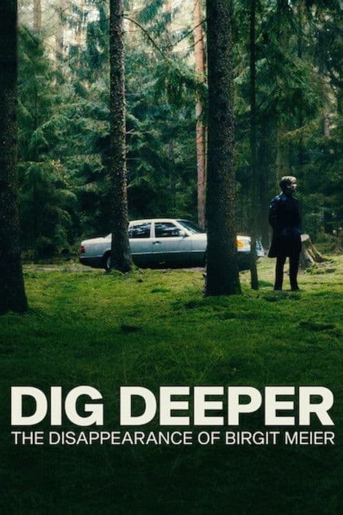 Dig Deeper: Das Verschwinden von Birgit Meier afişi