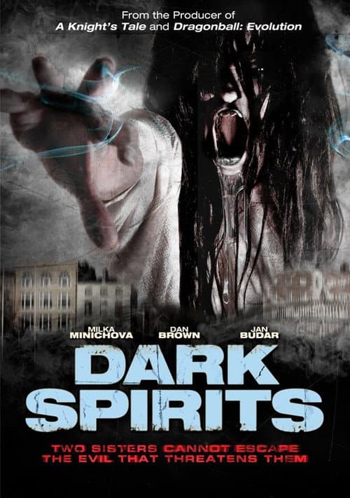 Dark Spirits afişi