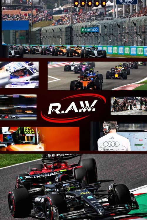 F1 R.A.W. afişi