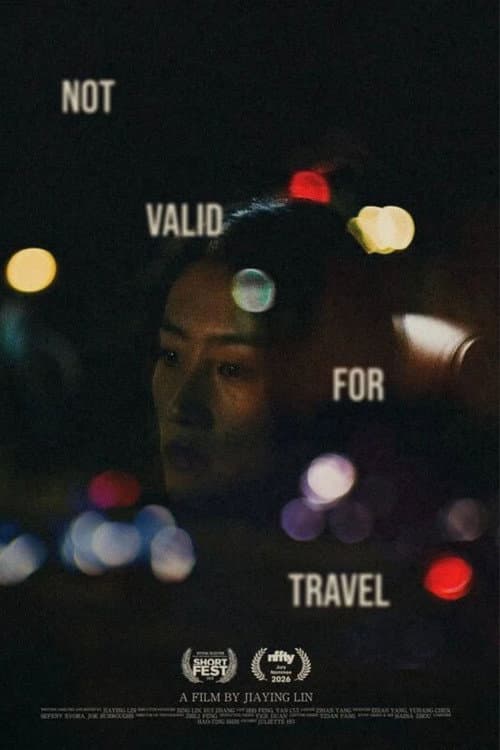 Not Valid for Travel afişi