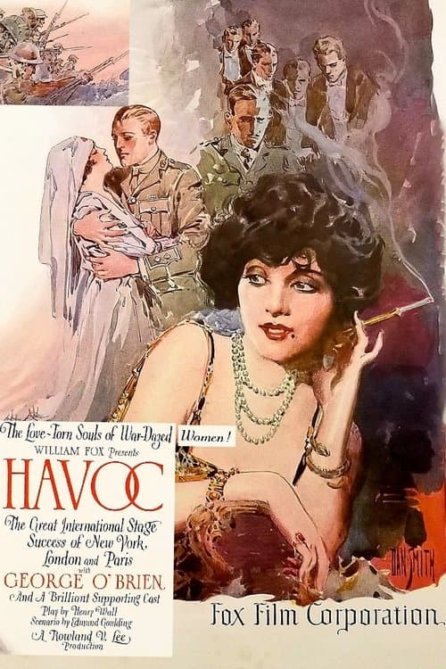 Havoc afişi
