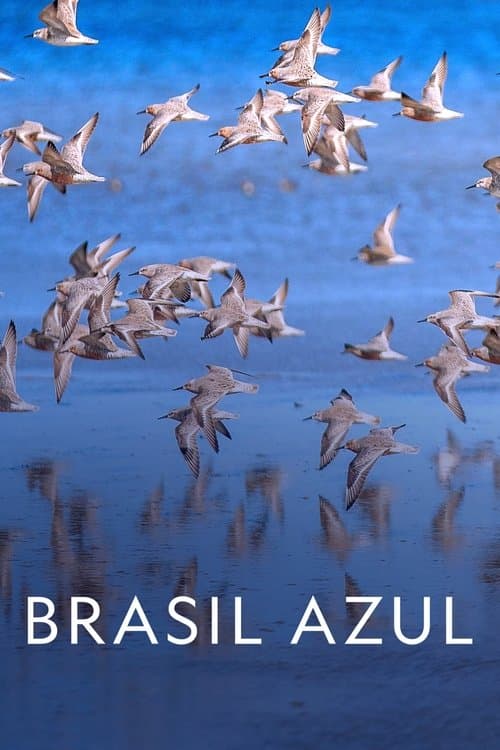 Brasil Azul afişi