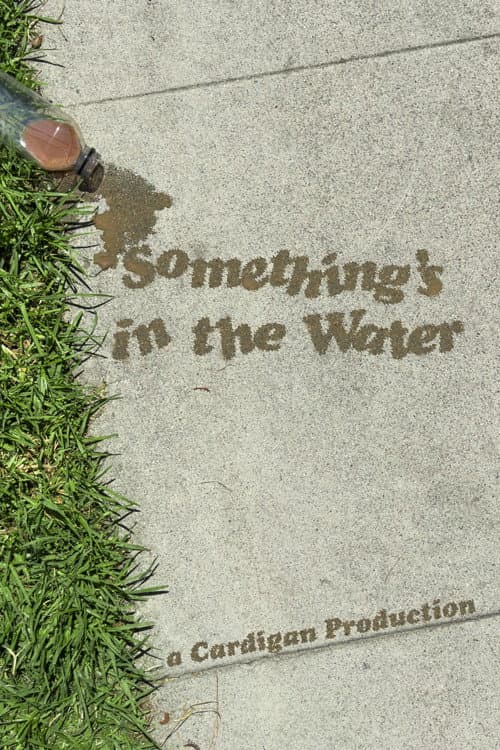 Something's in the Water afişi