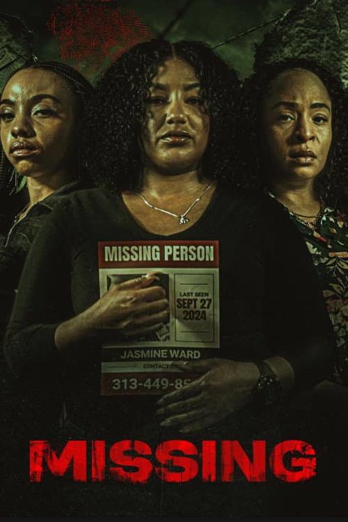 Missing afişi
