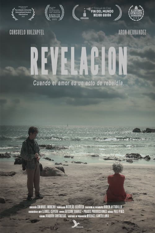 Revelación afişi