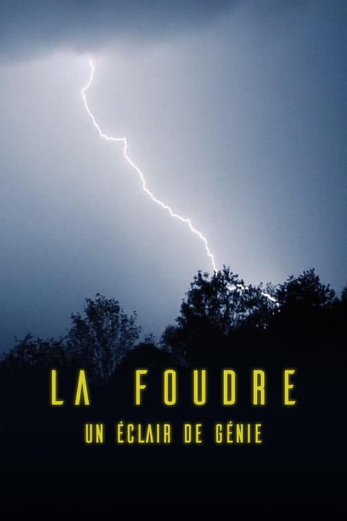 La foudre, un éclair de génie afişi
