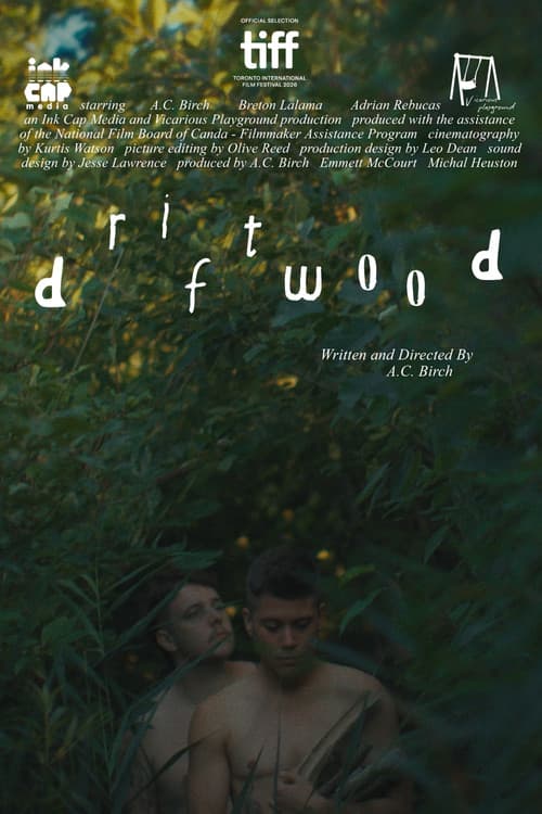Driftwood afişi