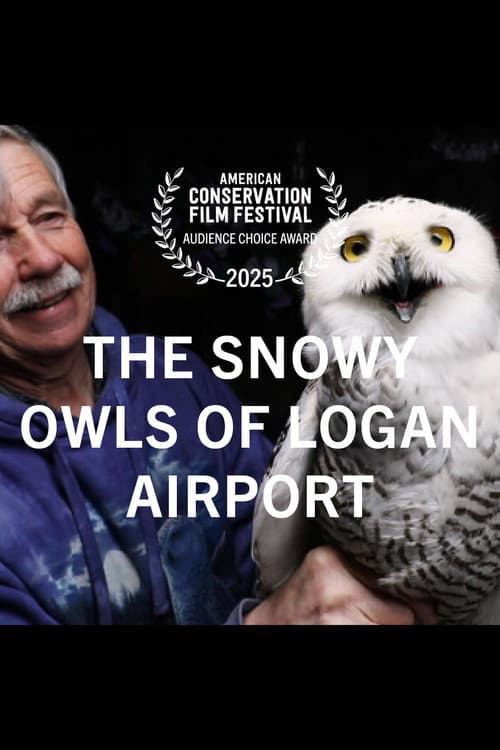 The Snowy Owls of Logan Airport afişi