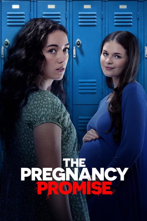 The Pregnancy Promise afişi