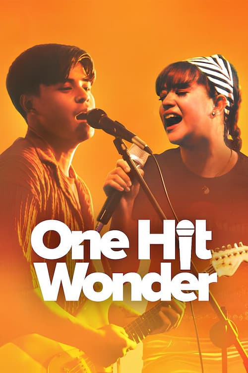 One Hit Wonder afişi
