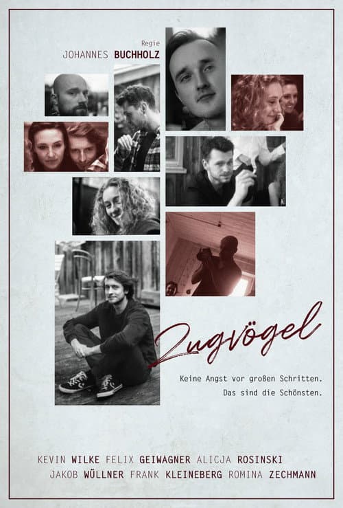 Zugvögel afişi