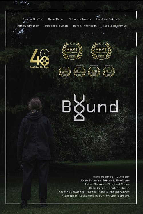 Bound afişi