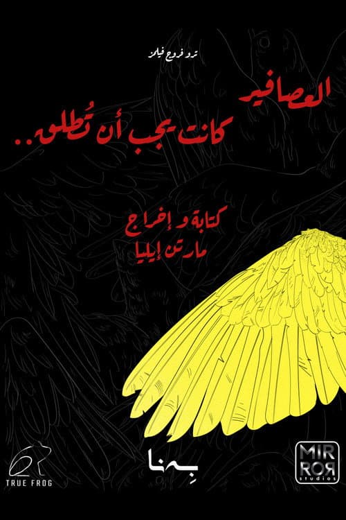 Birds Should Have Been Released afişi