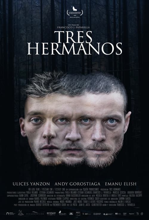 Tres hermanos afişi