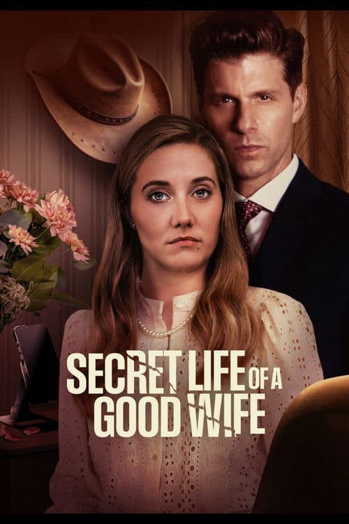 Secret Life of a Good Wife afişi