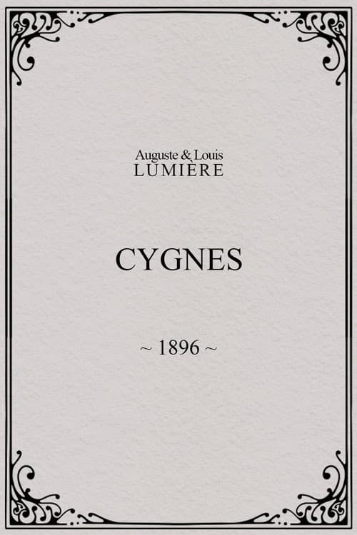 Cygnes afişi