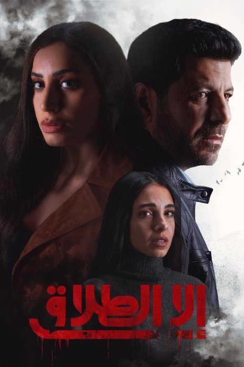 All but Divorced afişi