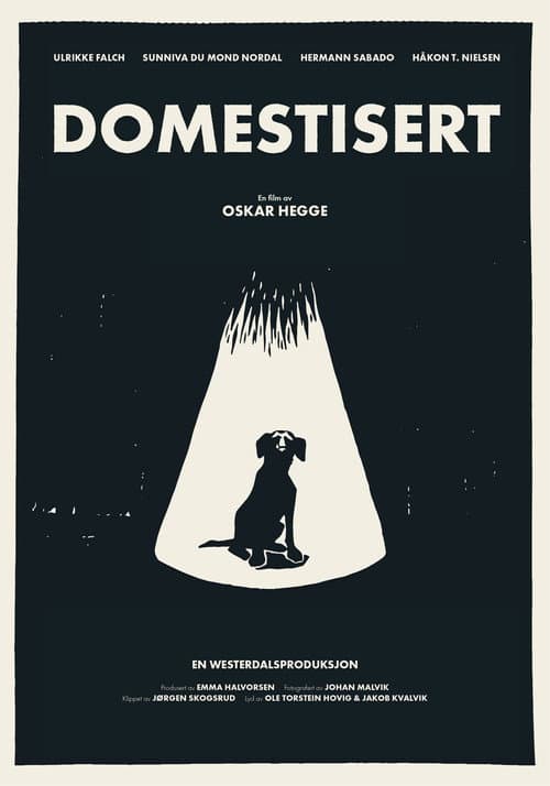 Domestisert afişi