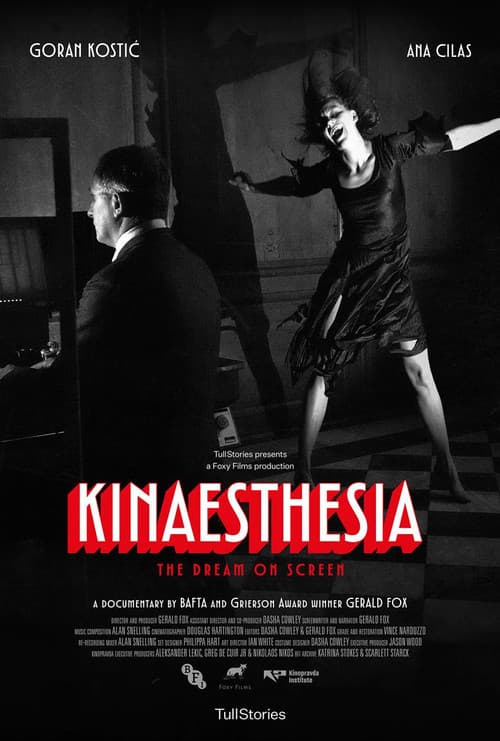 Kinaesthesia afişi