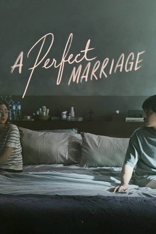 A Perfect Marriage afişi