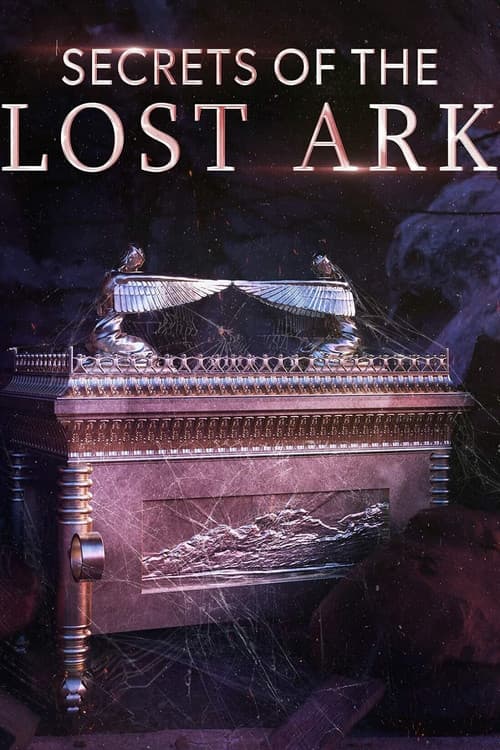 Secrets of the Lost Ark afişi