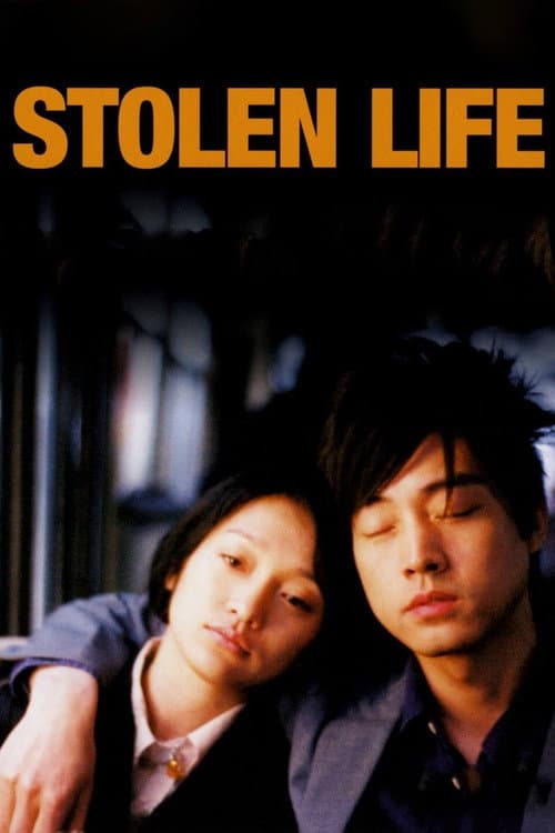 Stolen Life afişi