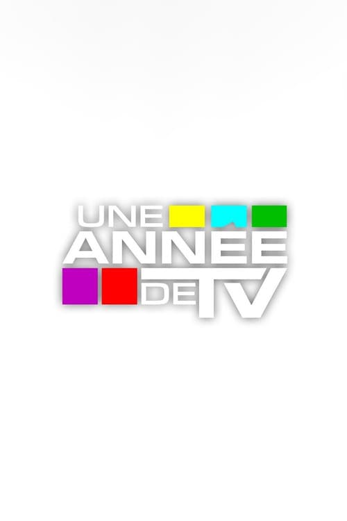 Une année de TV afişi