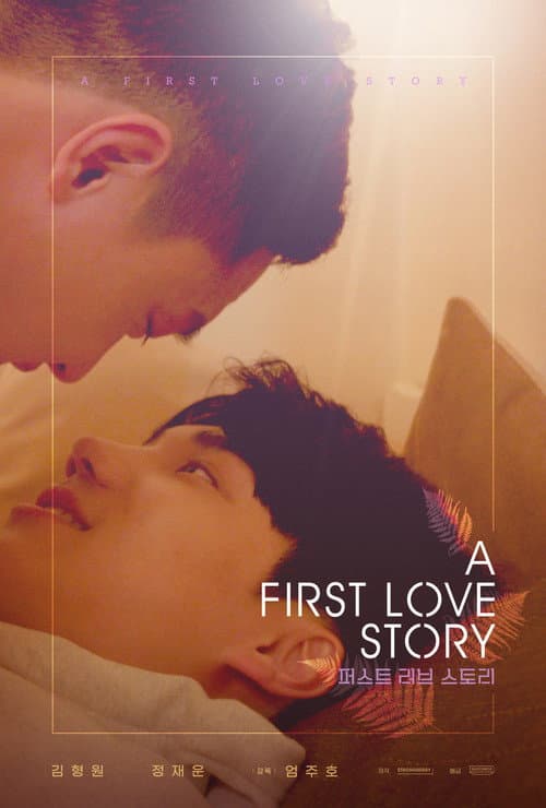 A First Love Story afişi
