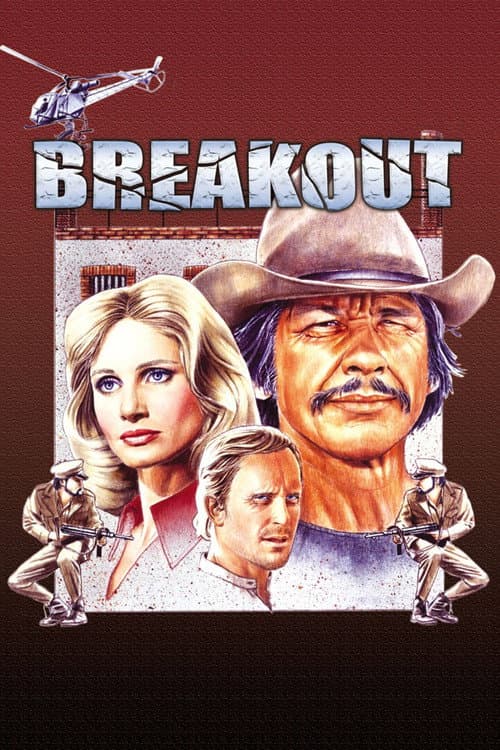 Breakout afişi