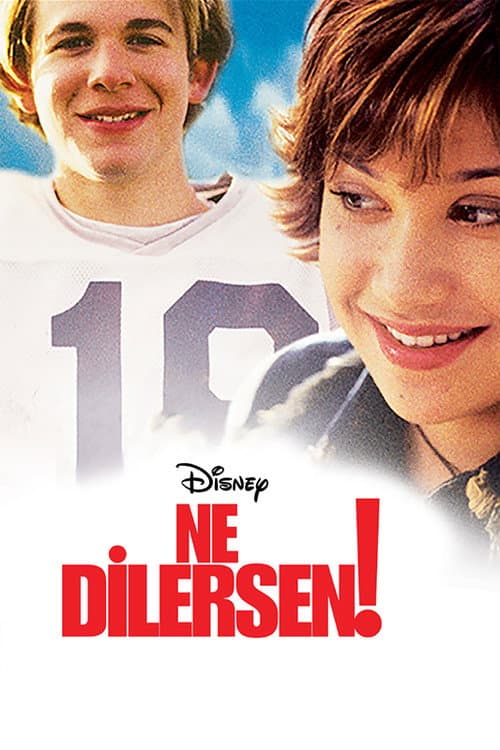 Ne Dilersen! afişi
