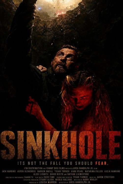 Sink Hole afişi