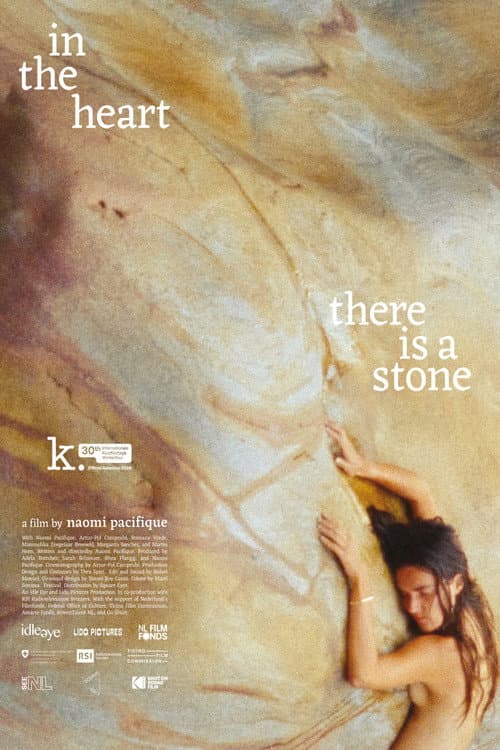 in the heart there is a stone afişi