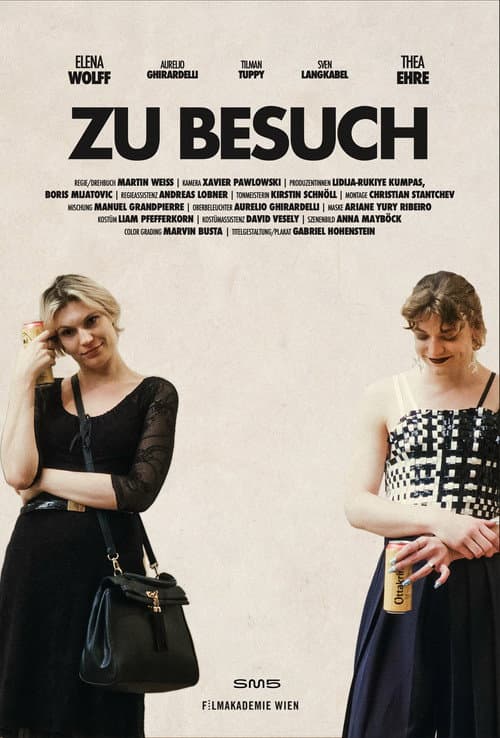 Zu Besuch afişi