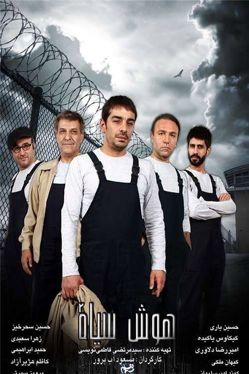 Black Intelligence afişi