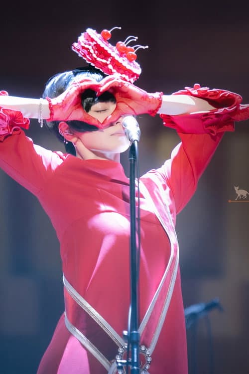 Shiina Ringo: Reiwa 8 Nationwide Tour afişi