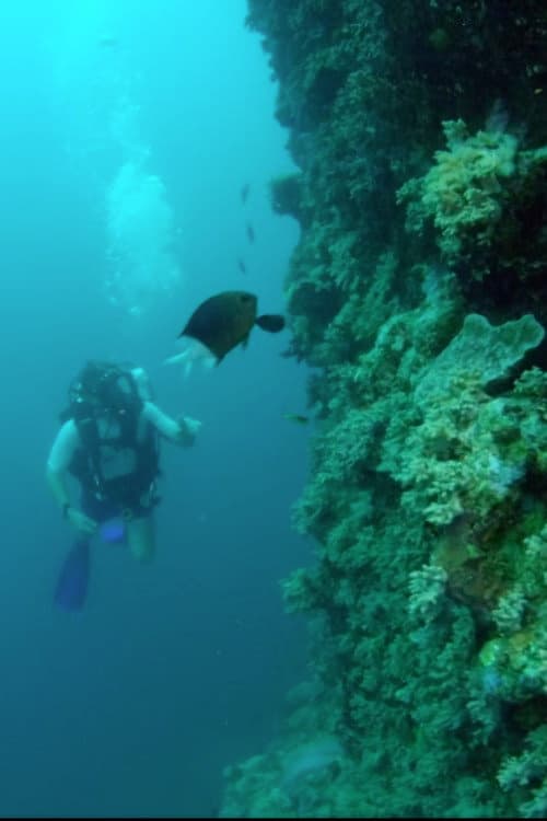 Wonders of the Great Barrier Reef with Iolo Williams afişi