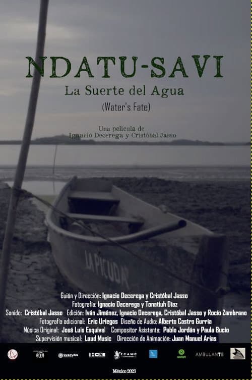 Ndatu-Savi. La suerte del agua afişi