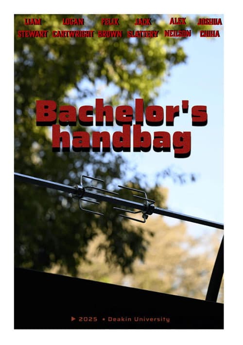 Bachelor's Handbag afişi