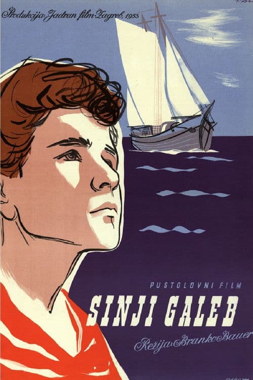 Sinji galeb afişi