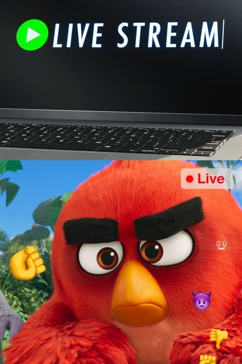 Angry Birds: Live Stream afişi