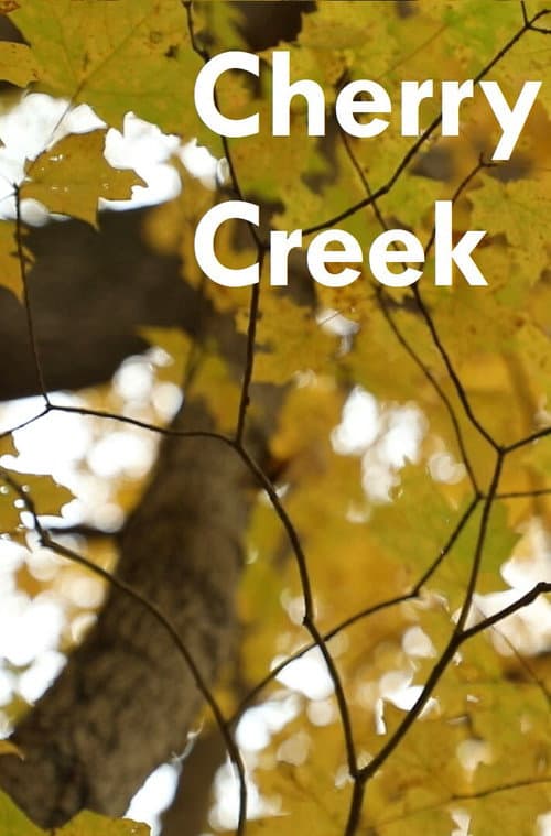 Cherry Creek afişi