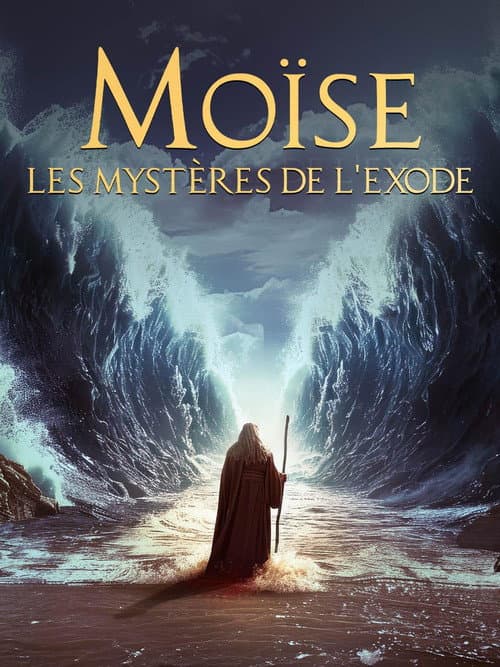 Moïse : les mysteres de l'exode afişi
