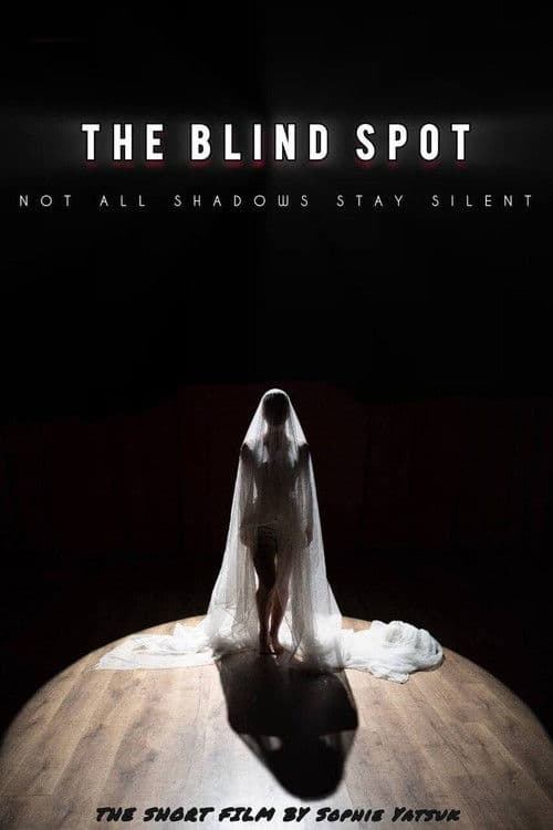 The Blind Spot afişi