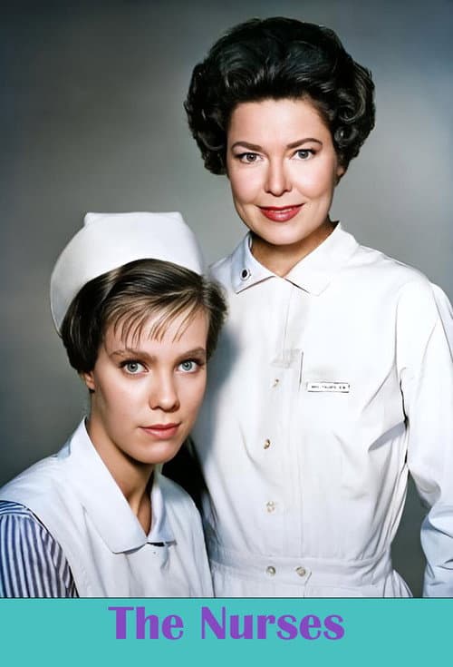 The Nurses afişi