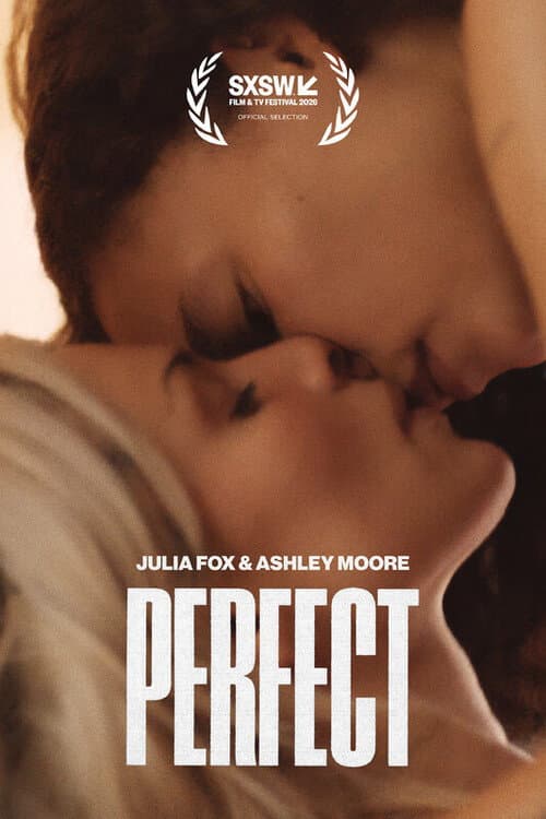 Perfect afişi