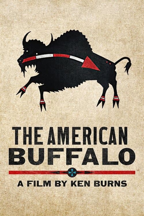 The American Buffalo afişi