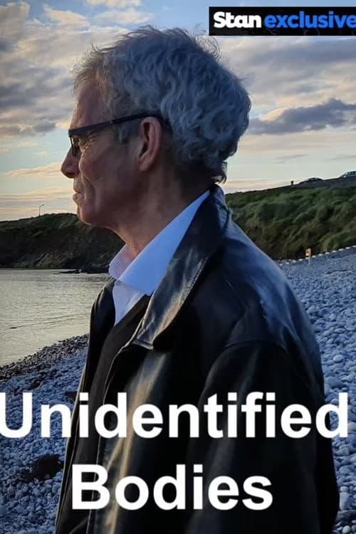 Ireland's Unidentified Bodies afişi