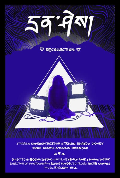 Recollection afişi