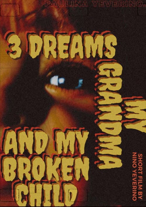 3 Dreams My Grandma and My Broken Child afişi