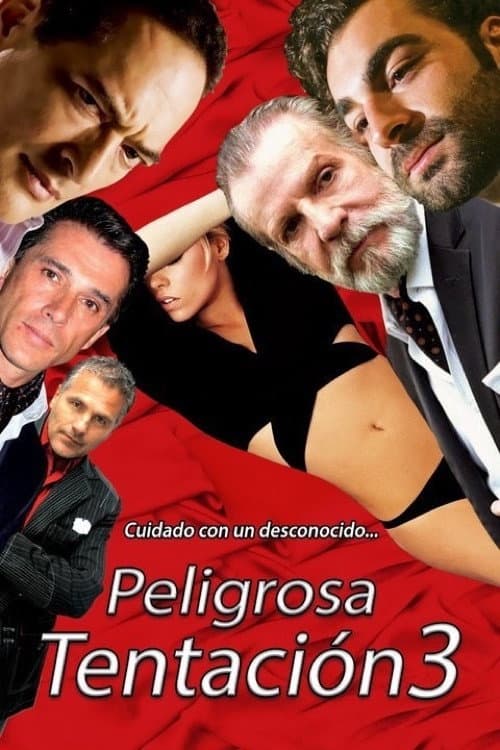 Peligrosa tentación 3 afişi